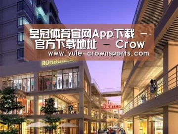 案例展示一